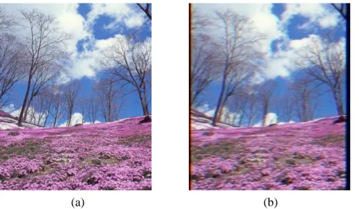 Fig. 3    (a) A stationary image and (b) the perceived image with CBU due to relative motion  in the FSC display