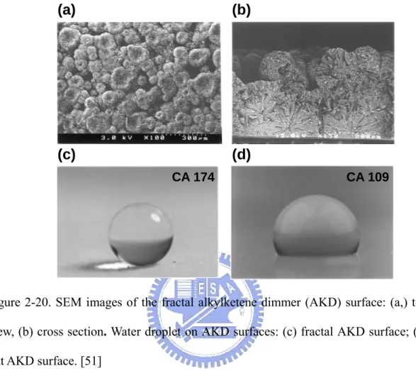 Figure 2-20. SEM images of the fractal alkylketene dimmer (AKD) surface: (a,) top  view, (b) cross section