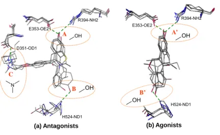 Figure 2.3. The binding-site pharmacological consensuses are identified by overlapping the  docked conformations of (a) 10 known ER antagonists and (b) 10 known ER agonists against  the reference proteins 3ert and 1gwr, respectively