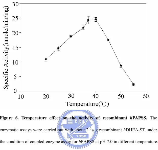 Figure 6. Temperature effect on the activity of recombinant  hPAPSS.  The  enzymatic assays were carried out with about 2  μg recombinant hDHEA-ST under  the condition of coupled-enzyme assay for hPAPSS at pH 7.0 in different temperature