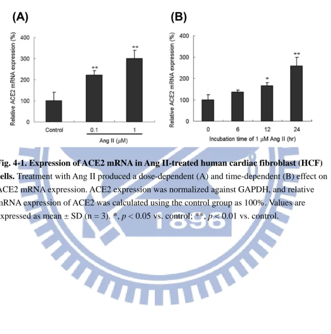 Fig. 4-1. Expression of ACE2 mRNA in Ang II-treated human cardiac fibroblast (HCF)  cells