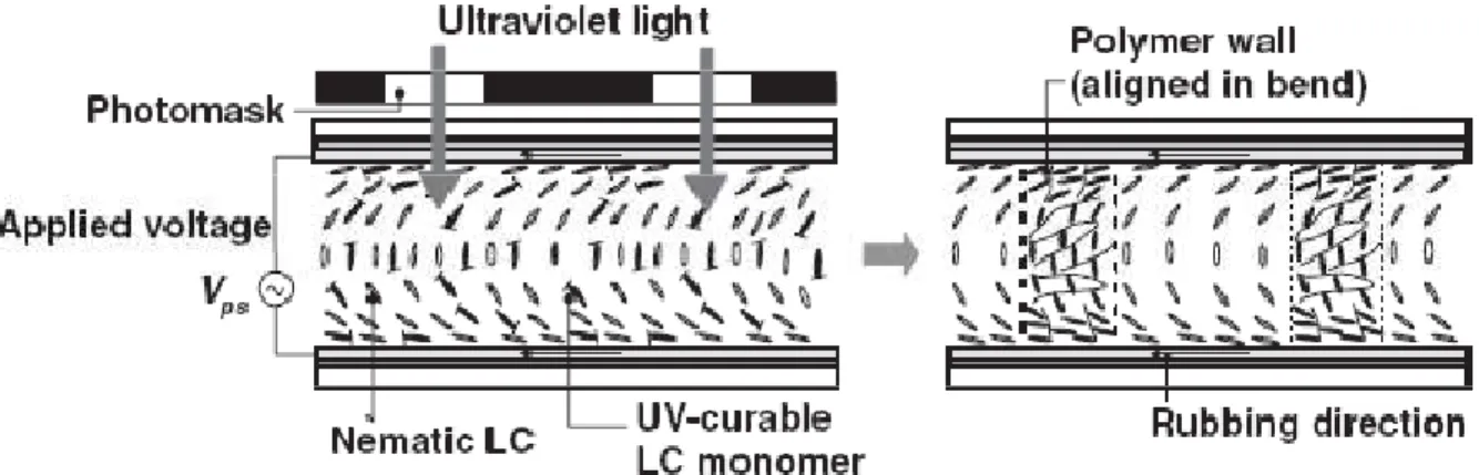 Fig. 2-14     Schematic diagram of polymer wall. [46] 