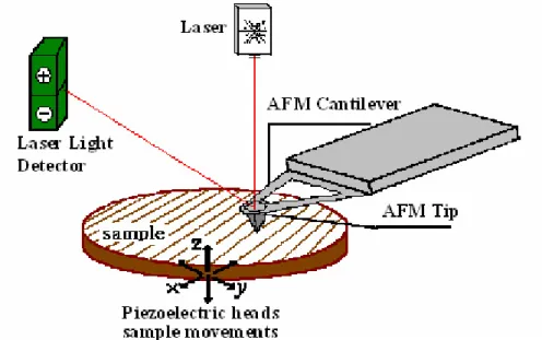 Fig. 3.1. Concept of AFM and the optical lever. 