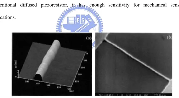 Fig. 1  （a）AFM and（b）SEM images of Si nano-wire [3] 