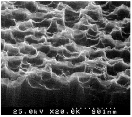 Fig. 6 Topography of poly-Si after RIE process 