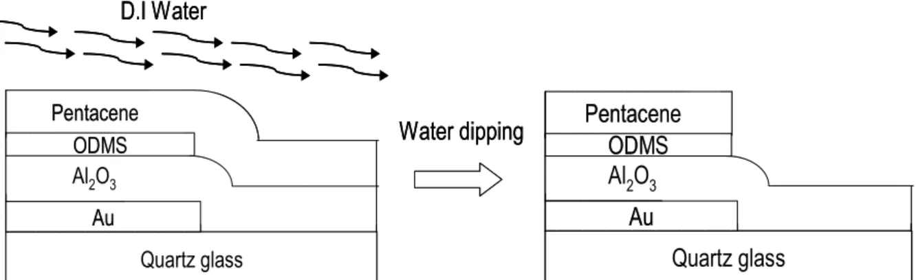 Fig. 2.1    Fabrication procedure of pentacene patterning by UV light  exposure.  D.I Water Water dipping Quartz glassPentaceneAl2O3AuODMSQuartz glassPentacenePentaceneAl2O3Al2O3AuODMSD.I WaterWater dippingQuartz glassPentaceneAl2O3AuODMSQuartz glassPentac