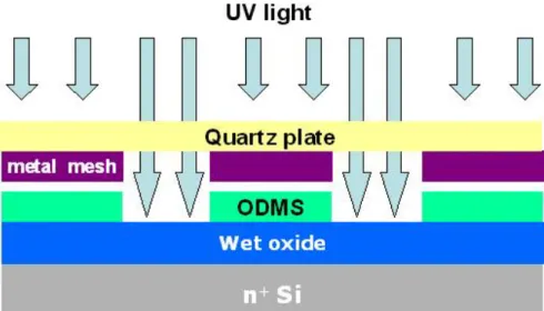 Fig. 3.3    Process of pentacene pattering by UV light exposure      from the right side