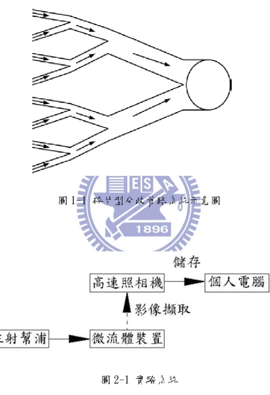 圖 1-1 碎片型分歧管路系統示意圖 