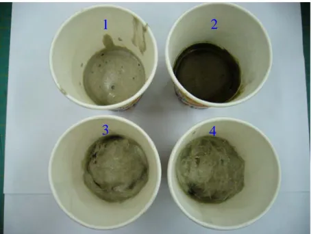 圖 3-8 發泡填充物之添加，圖中編號 1 為原發泡         ；2 為添加海藻粉；3 為添加木粉；4 為添                 加短玻纖維  圖 3-9 發泡尚未完全硬化成型即拆模導致發泡日後變形 1234