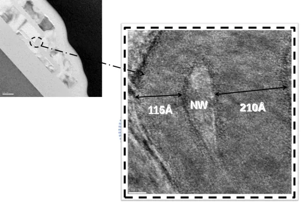 Fig. 3-1 Cross-sectional TEM images of an ITG NW-TFT. 