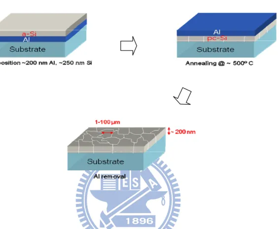 Fig. 2-3. Schematic picture of aluminum induced crystallization process flow for seed  layer formation