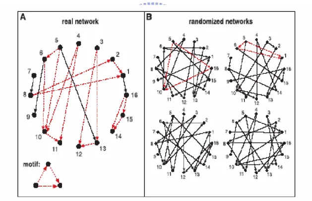 Figure 3. A) A real network, B) similar random networks 