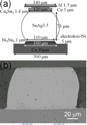 Figure 2-2: (a) The cross-sectional schematic shows the flip-chip solder joints from  Megic