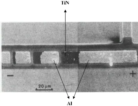 Fig. 6  Electromigration in Al stripe of different lengths . 
