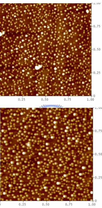 Figure 2.6  AFM images of QDs in the same sample taken with different tips