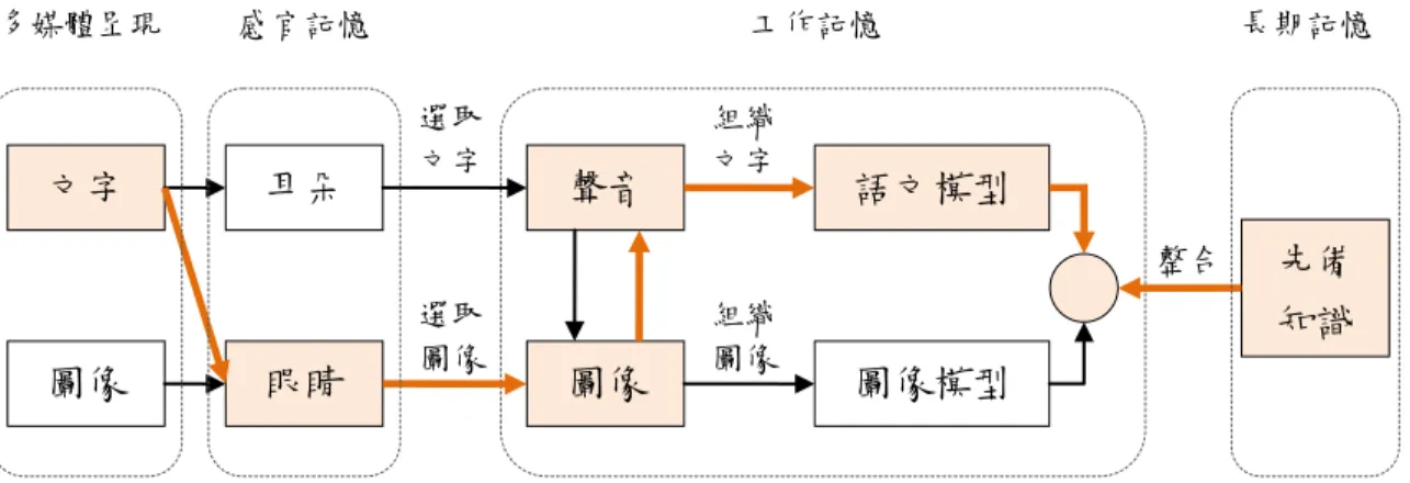圖  6    多媒體學習認知模型之字幕處理過程 