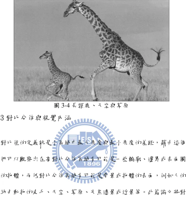 圖 3-4 長頸鹿、天空與草原  3.3 對比分佈與視覺內涵    對比值的定義就是小區域中最大亮度與最小亮度的差距，藉由這個特 性我們可以觀察出在高對比分佈區域有可能是一些輪廓、邊界或表面圖紋 複雜的物體，而低對比分佈區域有可能是背景或物體的表面，例如人的皮 膚、純色動物的皮毛、天空、草原、失焦遠景或近景等。此篇論文將對比 與梯度方向分佈結合，期望能分析出影像中物體所在的區域，並且和亮度 與梯度方向分佈的結合做比較。圖 3-5 為表面圖紋複雜的影像例子。  原圖  高對比圖  低對比圖  圖 3-5 表面