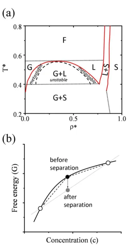 Figure 2.1: (a) The two-dimensional Lennard-Jones phase diagram, reproduced from  refs 14 and 67, showing fluid(F), gas(G), liquid(L), solid(S), and coexistence phases