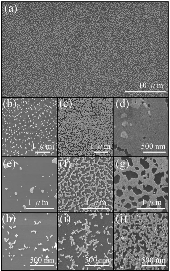 Figure 2.4: SEM images of PbSe QD patterns grown at substrate temperatures of  100°C (a-d), 50°C (e-g), and 180°C (h-j)