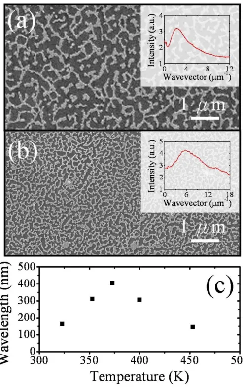 Figure 2.7: (a) SEM image of a spinodal pattern grown with coverage of  ∼38% at  100°C