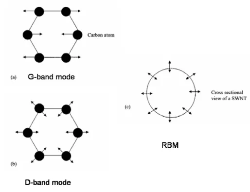 Fig. 2.24 Schematic diagram of Raman vibrational modes of CNTs (a) G-band  mode (b)D-band mode (c)Radial breath mode  [Raravikar-2002-235424]
