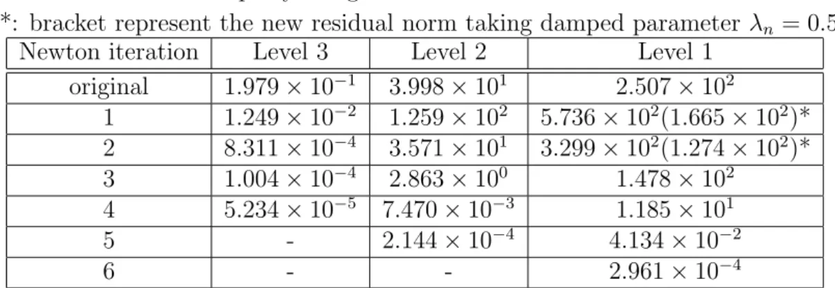 Table 6: Residual norm on level i during the steady-state Newton iterative steps by using GMRES as linear solver.