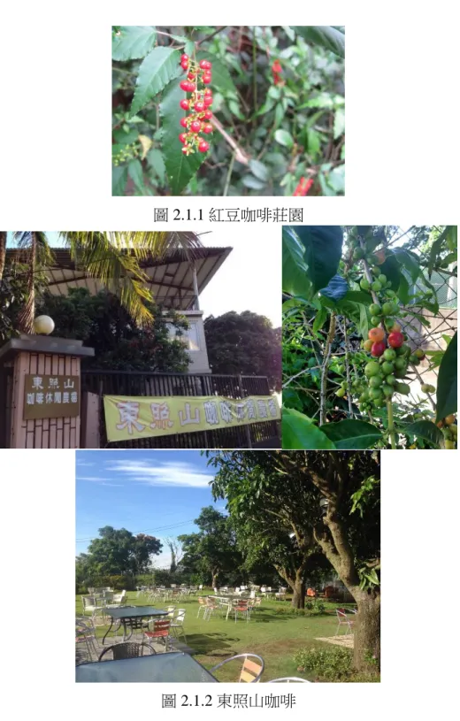 圖 2.1.1 紅豆咖啡莊園 