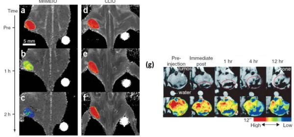 Figure  2.10  (a-f)  Color  maps  of  T2-weighted  MR  images  of  a  mouse  implanted  with  the  cancer  cell  at  different  time  points  after  injection  of  MnFe 2 O 4 –Herceptin  conjugates  or  CLIO–Herceptin conjugates