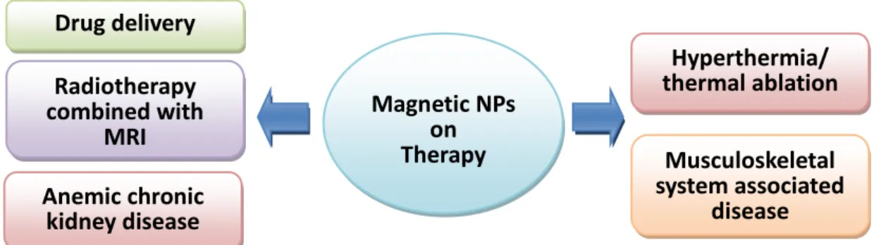 Figure 2.12 Biomedical application of magnetic nanoparticles. 