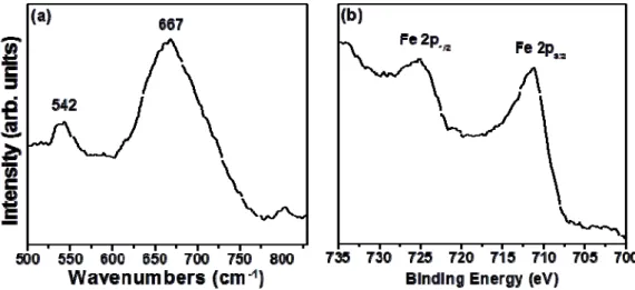Figure 4.3 (a) The Raman spectroscopy analysis and (b) X‐ray Photoelectron Spectrometer of  the iron oxide nanoparticles. 