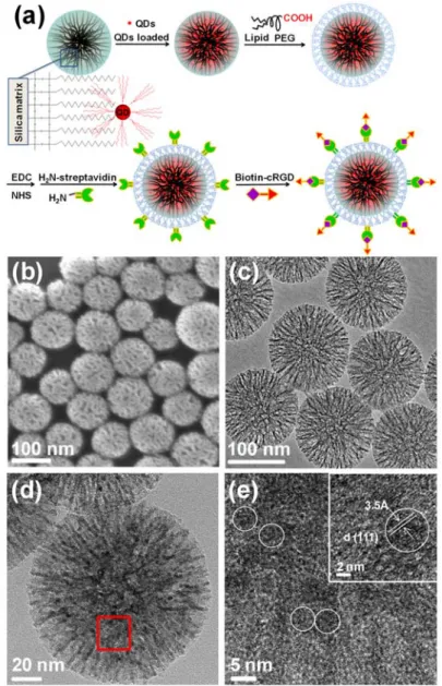 Figure 5.1 (a) Schematic illustration of the synthesis and structure of the cRGD‐encoded lipid  coated quantum dots tagged porous nanobeads (cRGD‐encoded LQNBs). (b) SEM image and  (c) TEM image of  porous nanobeads. (d)  TEM image and (e) High resolution 