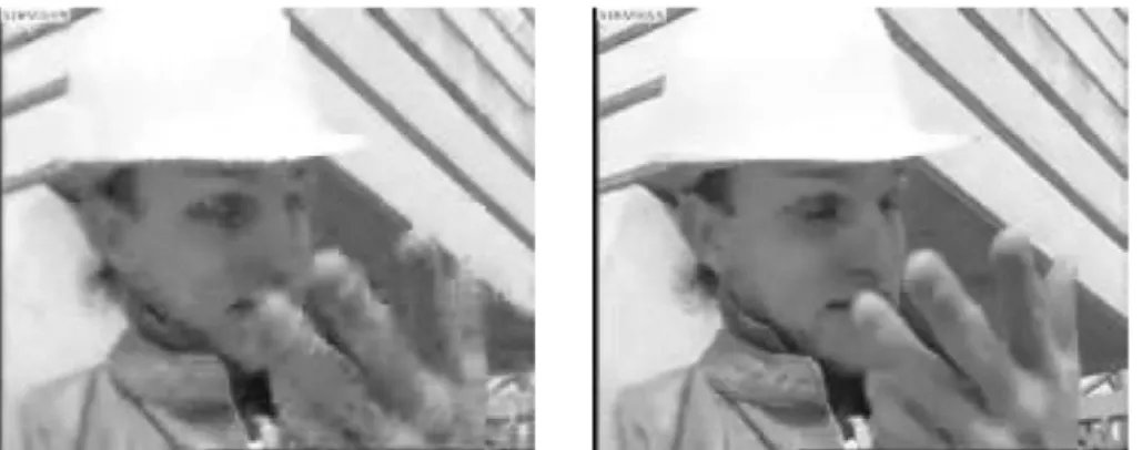 Fig 2.2: Subjective view comparison of MPEG-4 ASP (left) and 