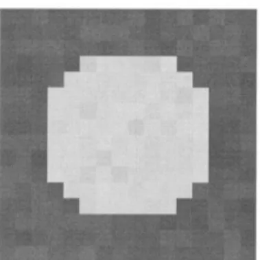 Fig 2.11: An edge in a 16×6 block for testing the subsample algorithm [17] 