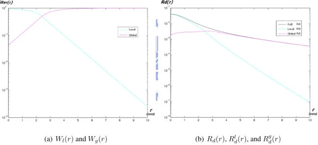 Figure 3.4 show example of filter function, and divided diffusion function, R l d (r) = R d (r)W l (r) and R g d (r) = R d (r)W g (r)