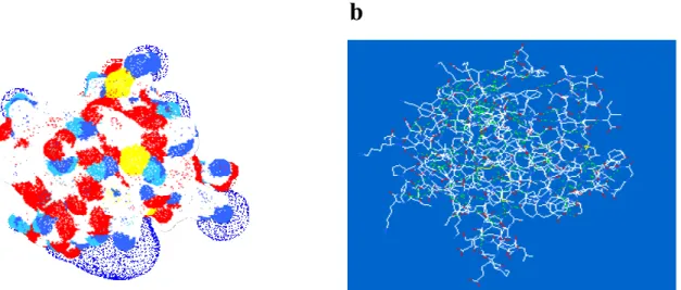 Figure 4. View of protein-ligand binding interactions in Betalactoglobulin (a transporter protein)  complexed with vitamin D using Swiss PDB viewer