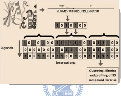 Figure 6. The 3D binding site of protein with an inhibitor (ligand) revealed as a sequence of  positions in the binding site in contact with the ligand and their location in the structure of the  protein (loop and β)
