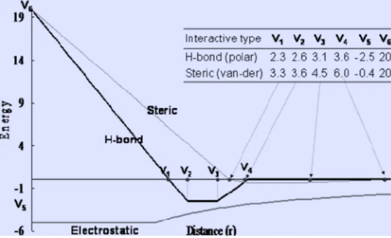 Figure 9. The linear energy functions of the pairwise atoms for the steric interactions and  Hydrogen bonds in GEMDOCK (bold line) with a standard Lennard-Jones potential (thin line)  Yang et al
