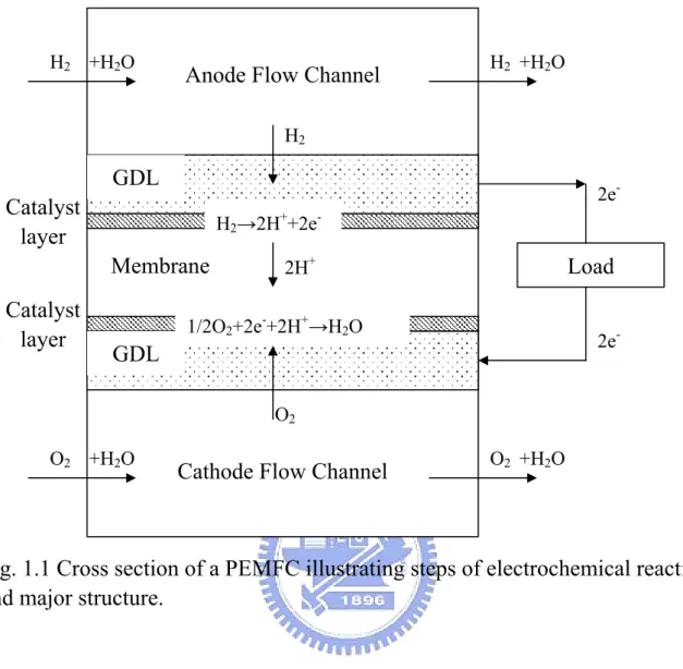 Fig. 1.1 Cross section of a PEMFC illustrating steps of electrochemical reaction  and major structure.