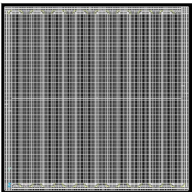 Fig. 3.1 Grid structure of current model.