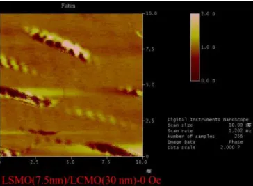 圖 4-24    LSMO 厚度 7.5 nm 雙層結構於外加磁場降為 0 Oe 的 MFM 影像。 