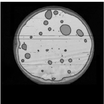 Figure 3-5 SAT image of wet oxide to wet oxide bonding under 40N, 250