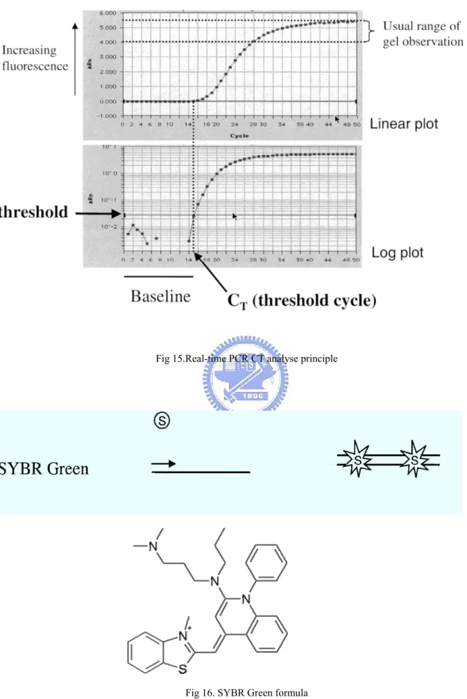 Fig 15.Real-time PCR CT analyse principle 