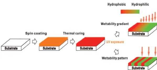 Fig. 1. Fabrication of wettability gradients and wettability patterns on B-ala PBZ  films