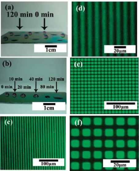 Fig. 2. (a) Wettabilty pattern, (b) wettablity gradient, and (c-f) periodic arrangement  of CdTe colloidal nanocrystals on B-ala PBZ films