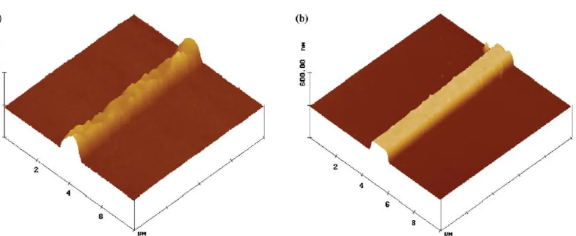 Fig 1. AFM images of PHEMA brushes grafted from 750 nm trenches for 24 h  and then immersed in (a) water and (b) cyclohexane