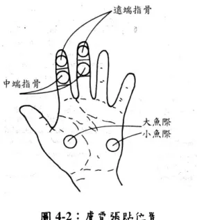 圖 4-2：膚電張貼位置 