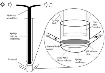 Figure 1-4 Flow-cell set-up and fiber optic biosensor configuration.  [11]