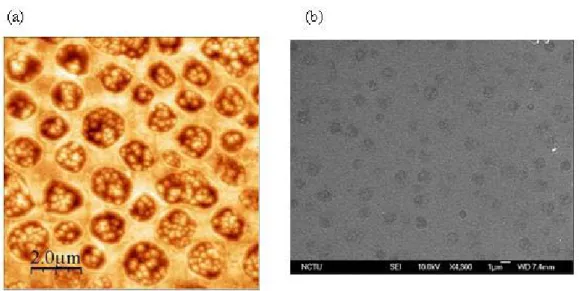 Figure 3-3 Anisotropic etching of silicon with 2.38 % TMAH solution.  (a) shows  AFM morphology in area is 10  μm × 10 μm, and (b) shows the SEM morphology at  80°C 60 min