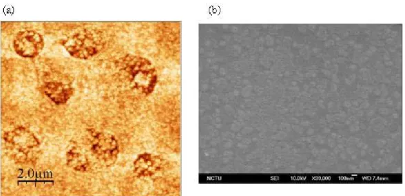 Figure 3-6 Anisotropic etching of silicon with 1.67 % TMAH solution and 30 % IPA. 