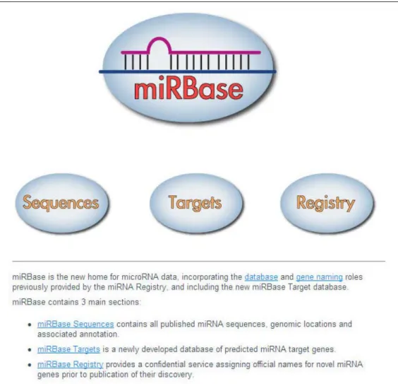 Figure 2.1 Web page of miRBase. 